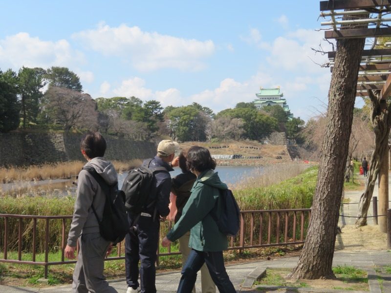 ウォーキング大会